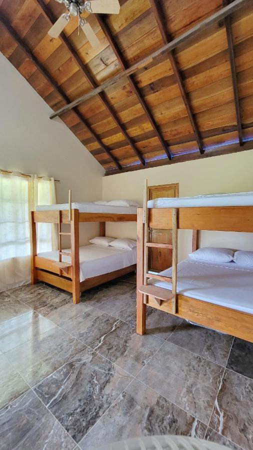 Coco Loco Lodge El Valle  Eksteriør bilde